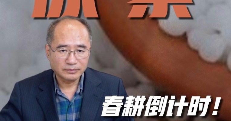 春耕倒计时！尿素期货突然上行为哪般？