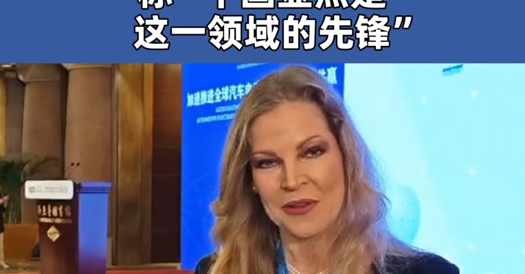 联合国官员点赞中国新能源汽车！称“中国显然是这一领域的先锋”