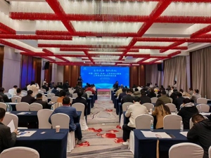 促成20余项合作意向 中国（四川·双流）二手车出口基地资源交流会举行