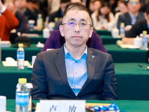 直击百人会论坛丨岚图CEO卢放：央企整合成产业变革必然，做好产品才是根本