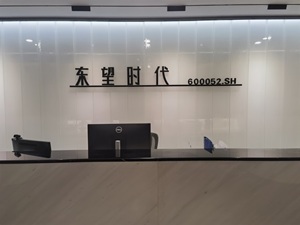 直击股东大会 | 东望时代董秘王张瑜：公司就已代偿资金向原控股股东及关联方发起追偿诉讼