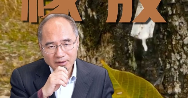 国内割胶预期顺利，橡胶行情会持续偏弱吗？