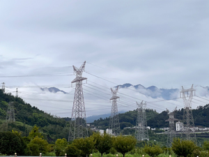 完善电力价格治理机制 激活行业高质量发展新动能