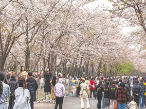国家气象中心答每经问：预计4月黄淮南部、江淮等地气温偏高