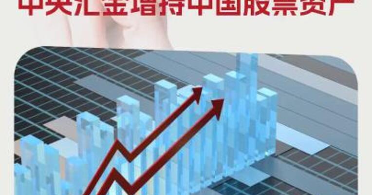 “国家队”出手！中国国新、中国诚通、中央汇金增持中国股票资产