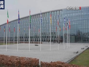 特朗普出手！美国驻北约军事代表被解雇