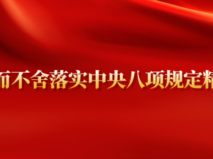 专题丨锲而不舍落实中央八项规定精神
