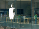 51112028.thumb_hs