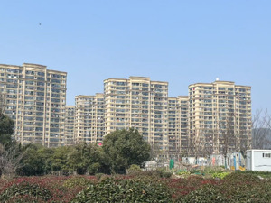 楼市“小阳春”观察︱杭州楼市“金三”成色十足：新房成交环比增长184%，二手房成交创近8年新高