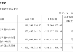 国产AI芯片龙头寒武纪，一季度营收大涨4230%！净利润3.55亿元，同比扭亏！去年公司股价涨超387%，创始人身家飙升至870亿元