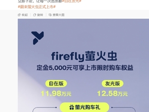 11.98万元起，蔚来子品牌萤火虫首车正式上市！支持换电，李斌：最安全的小车