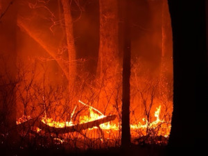 美国这一州宣布进入紧急状态，约5000名居民被疏散，至少25000名用户失去电力供应！发生了什么？