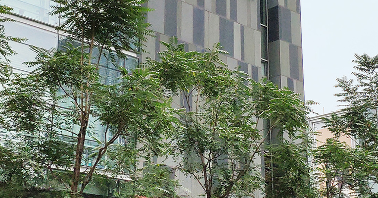 北交所制定发布股份变动管理指引