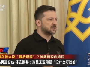 泽连斯基与特朗普进行会谈！特朗普曾称：泽连斯基已“无牌可打”，他可以选择和平，或再战三年，直到失去整个国家