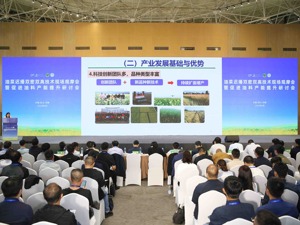 助力全国油菜扩面增产 “迟播双密双高”技术在成都邛崃创理论亩产341.47公斤成绩