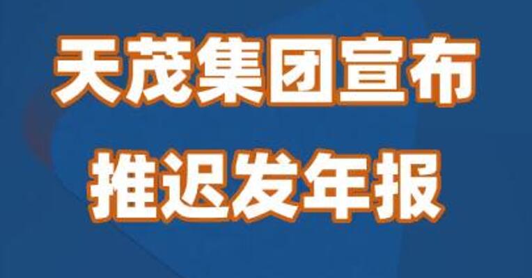 天茂集团宣布推迟发年报