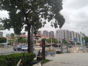 开拍前48小时撤拍，百亿元预期的深圳宝中“黄金地块”，会调规后再上架吗？