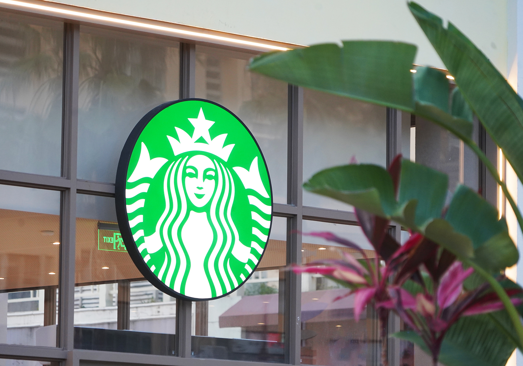 星巴克发布最新季报：北美同店可比交易量下滑4% 中国区增长4%，被CEO点名表扬