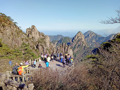 “五一”假期数据盘点：“小城”经济逆袭，外国游客迷上“中国购”与农耕文化
