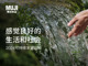 Xansqsoksj1746781354872.thumb_hs