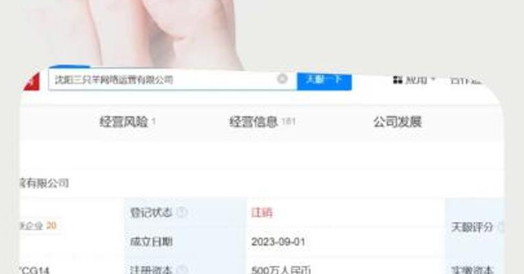 沈阳三只羊网络运营有限公司已注销 