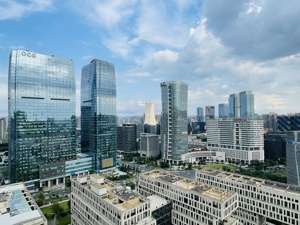 成都高新区两家企业入选！