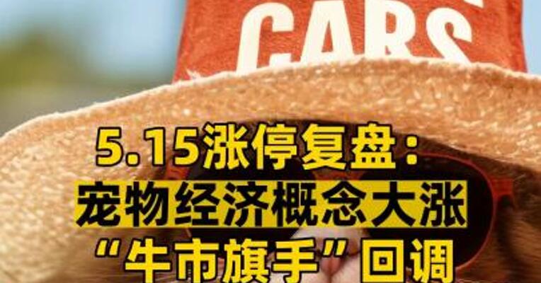 5.15涨停复盘： 宠物经济概念大涨 “牛市旗手”回调
