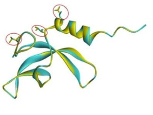 首次公布！我国空间站内发现微生物新物种