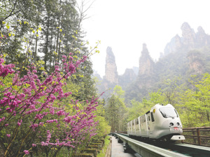 ST张家界及子公司遭索赔3.86亿元 “山水旅游第一股”预重整仍在推进
