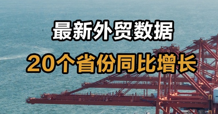 最新外贸数据  20个省份同比增长