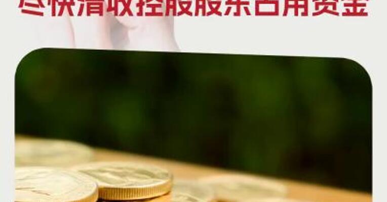 上交所发监管工作函：督促*ST华微尽快清收控股股东占用资金