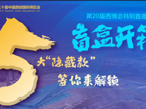 第20届西博会特别直播——盲盒开箱！5大隐藏款等你来解锁