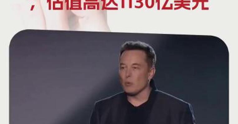 马斯克的xAI据悉启动3亿美元股份出售，估值高达1130亿美元