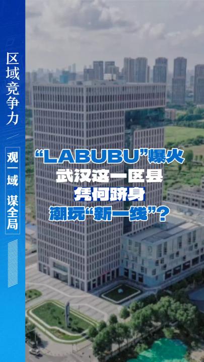 “LABUBU”爆火，武汉这一区县凭何跻身潮玩“新一线”？