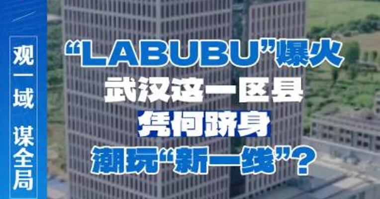 “LABUBU”爆火，武汉这一区县凭何跻身潮玩“新一线”？