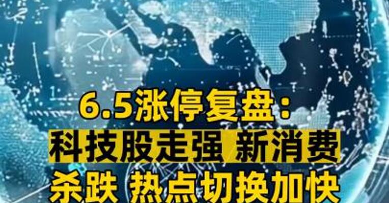 6.5涨停复盘： 科技股走强 新消费杀跌 热点切换加快