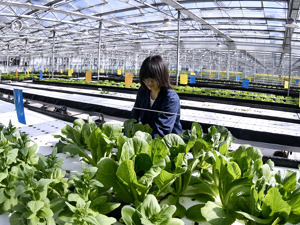 全面摸清“三农”家底 服务农业强国建设——国务院第四次全国农业普查领导小组办公室负责人答记者问