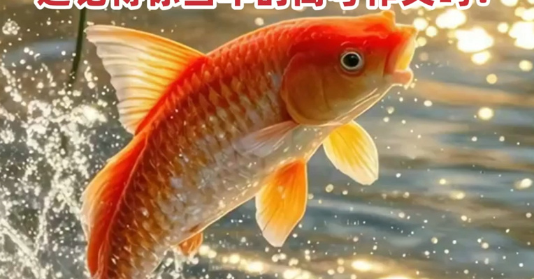 新鲜出炉！2025年高考作文题汇总 还记得你当年的高考作文吗？