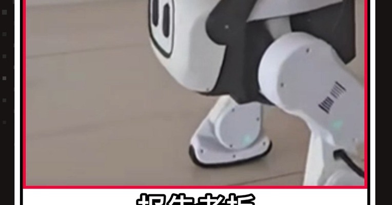 一周 AI 信息差 6.8