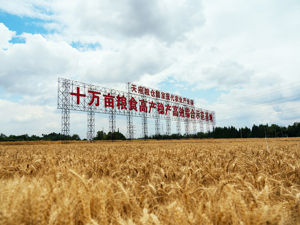 从“饭碗田”到“科技田” 永丰村绘出乡村振兴新“丰”景丨牢记嘱托 奋力打造两高地两基地一屏障