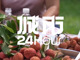Zvmmbsgfvz1749731840544.thumb_hs