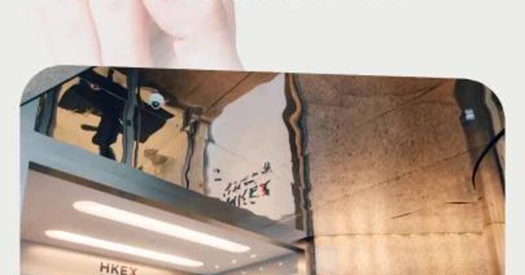卧龙电驱：筹划发行H股并在港交所上市