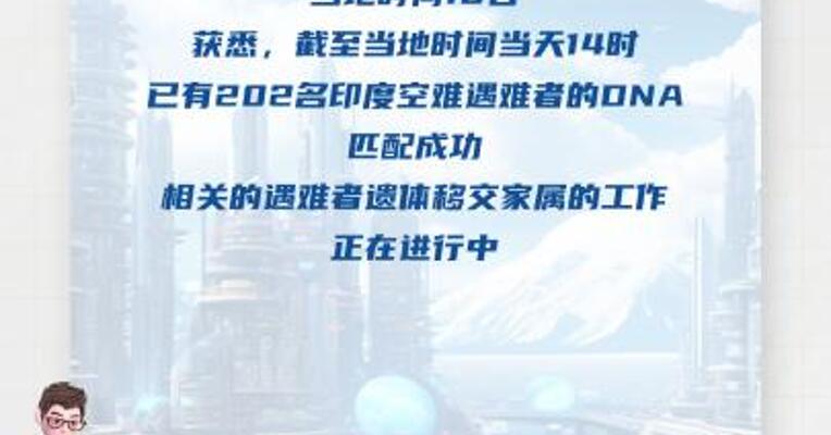 印度空难已确认202名遇难者身份