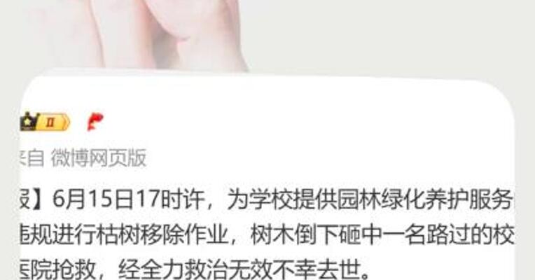 清华回应女教授被树砸身亡