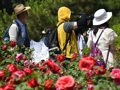 高温、暴雨预警齐发！京津冀局地最高气温超40℃，华北平原高温将暴晒！今天江南等地有强降雨
