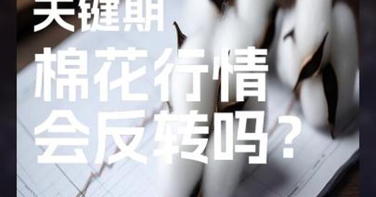 天气炒作关键期，棉花行情会反转吗？