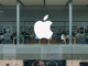 73070881.thumb_hs