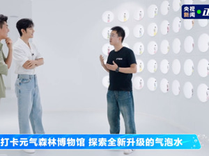 聚焦元气森林：气泡水背后的创新密码