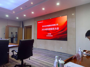 直击股东大会 | 四川长虹称将正视复杂的外部宏观环境及高度“内卷”的市场竞争态势