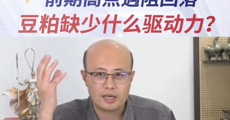 前期高点遇阻回落，豆粕缺少什么驱动力?#豆粕 #生物柴油计划 #巴西大豆